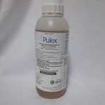 Pulex insecticida gleba
